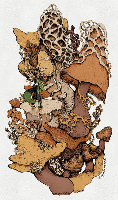 The Poetry of Mushrooms